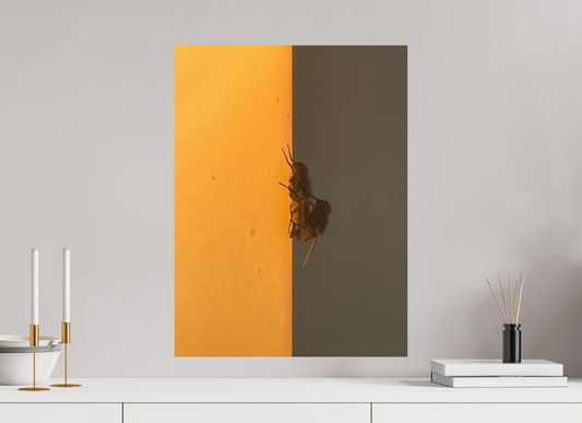 Bar Centrale, vormittags